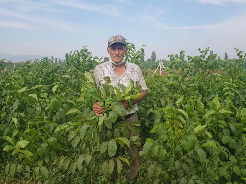 68 yaşında aldığı kurs hayatını değiştirdi, şimdi dünya ülkelerine pazarlıyor
