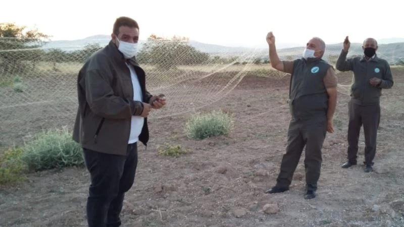 Elazığ’da ağla kurulu av düzeneği ele geçirildi
