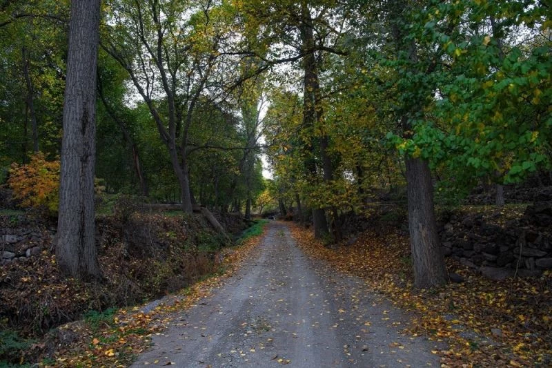 ÇEKÜL Vakfı’ndan Başkan Büyükkılıç’a Koramaz övgüsü

