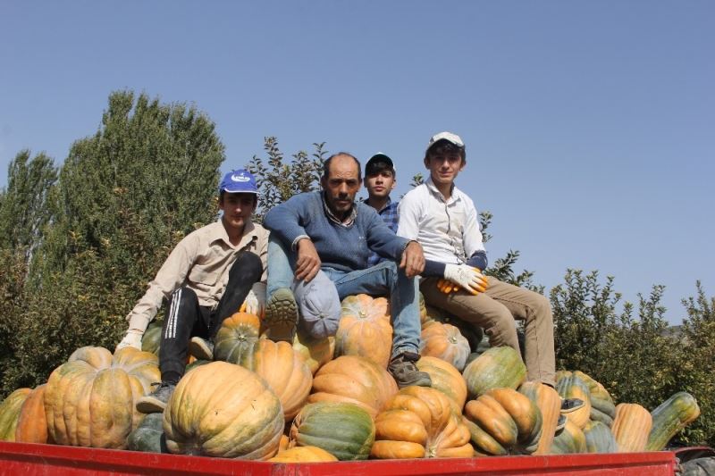 Rekoltesi bin tonun üzerine çıkan Isparta’nın bal kabağına pazar aranıyor
