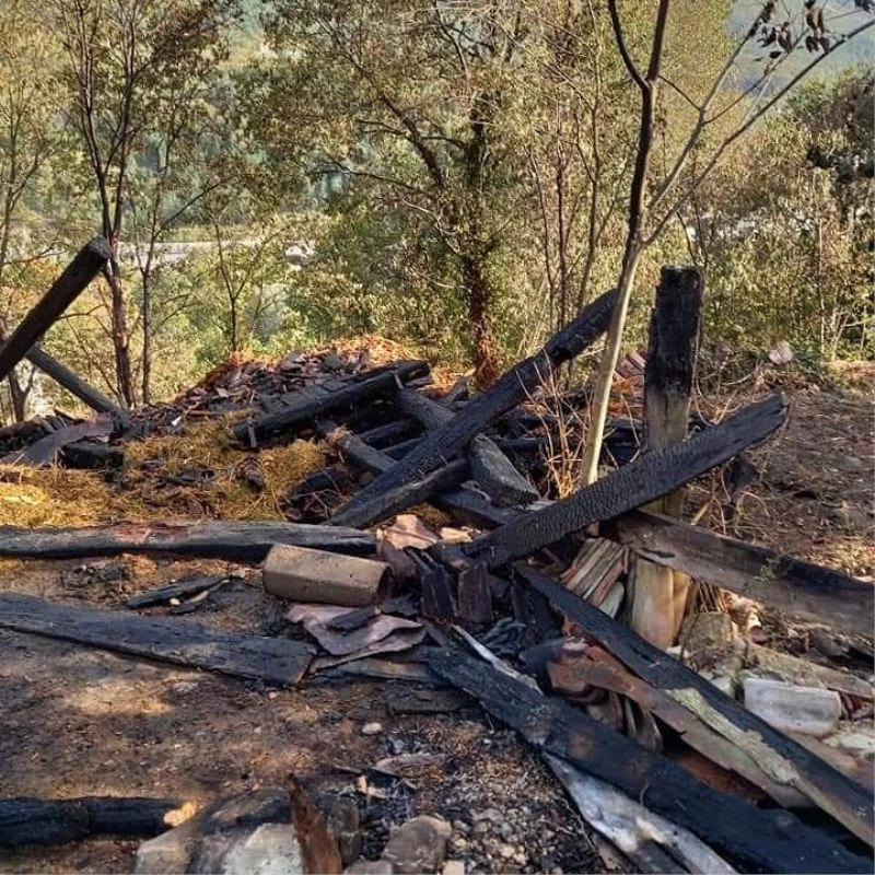 Bahçede yakılan ateş samanlığı küle çevirdi
