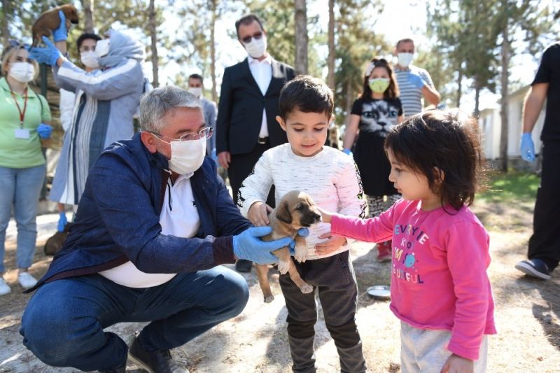 Çorum’da ’Hayvanları Koruma Günü’ kutlandı
