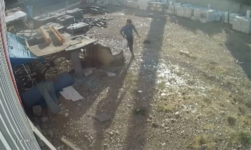 Tavukları torbaya koyup çaldı
