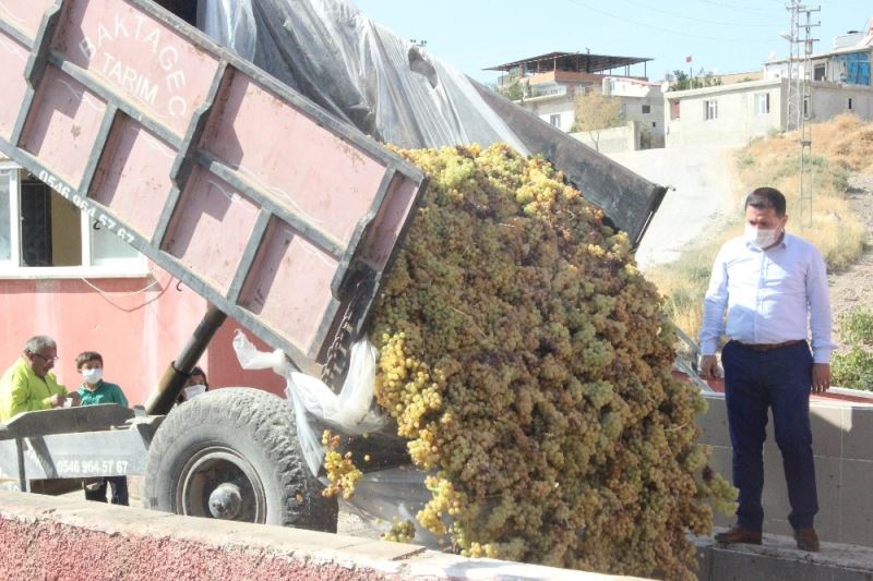 Üzümün taneden pekmeze uzanan yolculuğu
