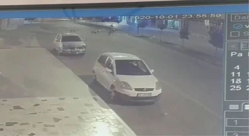 Sokak köpeklerinden kaçarken başını çarpıp öldü
