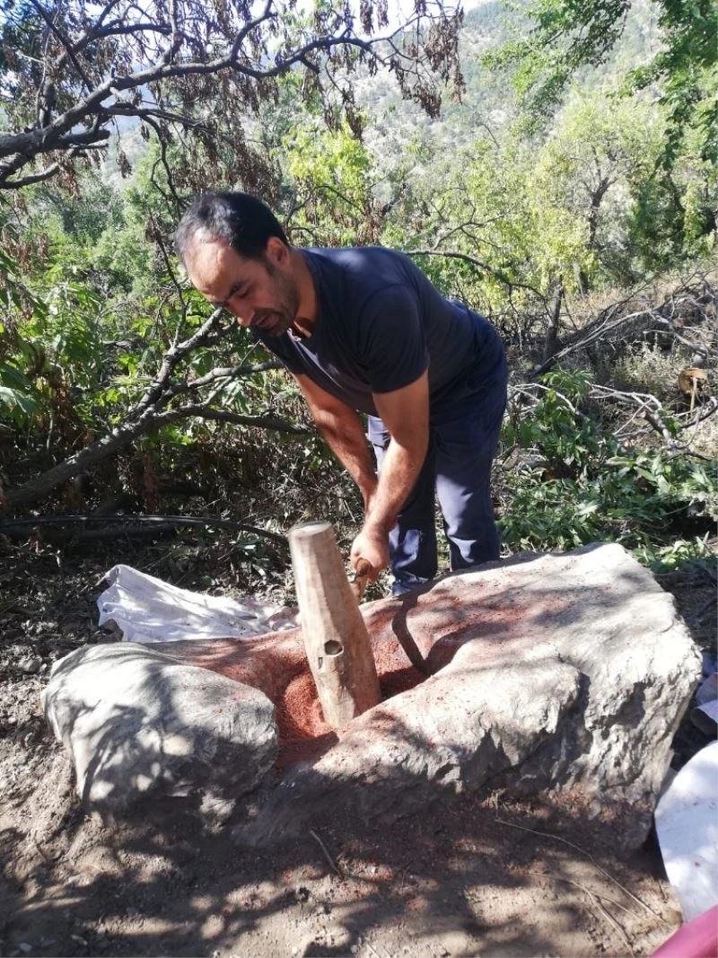 Geleneksel yöntemle sumak üretiyorlar
