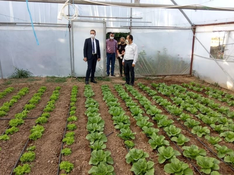 Yeşil gıda seracılıkta kış dönemi ürün çeşitliliği artırıldı
