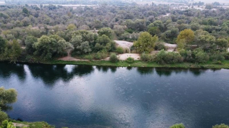 Kırmıtlı Kuş Cenneti