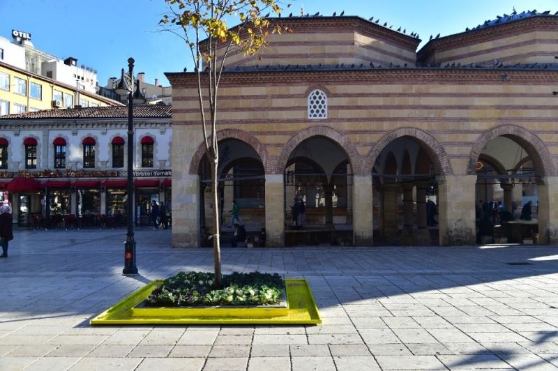 Kastamonu’da güvercinler için ağaç diplerine yemlik yapıldı
