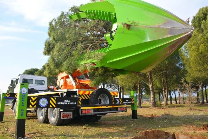 Ağaçlar bu makine ile kesilmekten kurtuluyor
