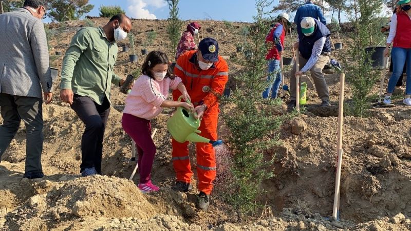 Hatay’da yanan ormanlık alanlar fidanlarla buluştu
