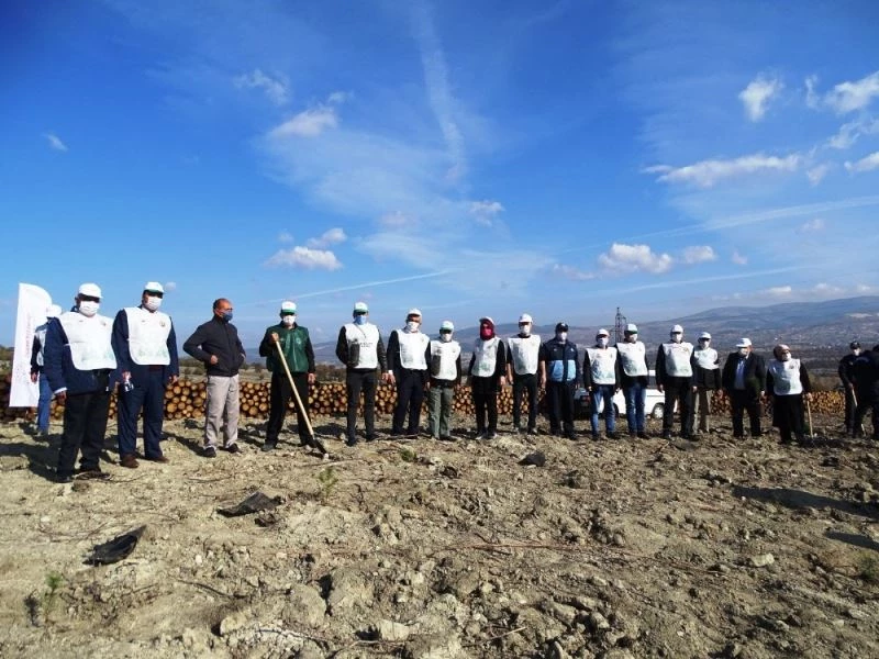 Hisarcık’ta yanan orman alanı ağaçlandırılıyor
