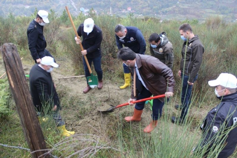 Türkeli’de “Geleceğe Nefes” için fidanlar toprakla buluştu
