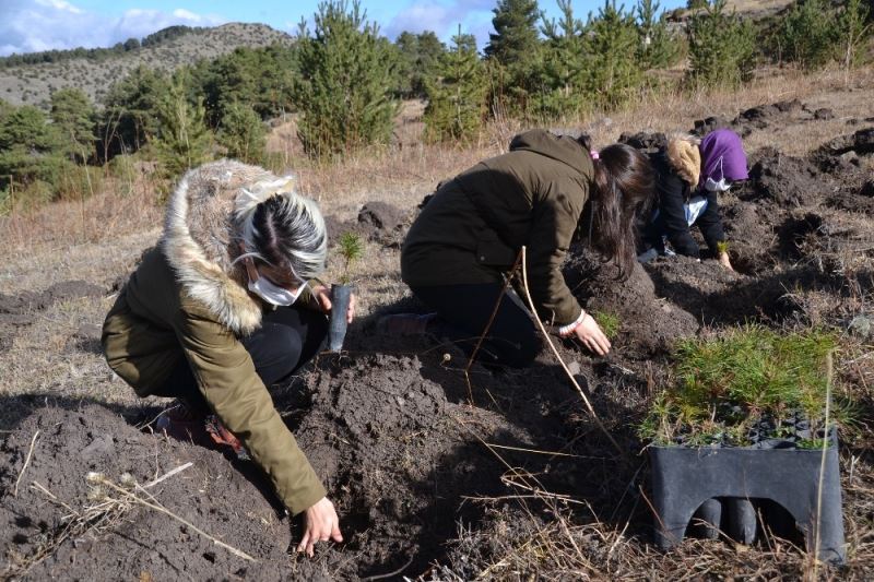 Şenkaya’da “Geleceğe Nefes” için bin 200 fidan dikildi
