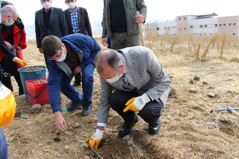 FÜ Fidan Üretim Merkezi’nde cevizler toprakla buluştu
