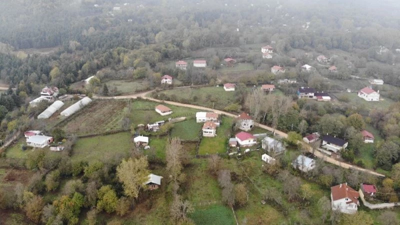 Yaylalardaki kontrolsüz yapılaşma doğal hayatı tehdit ediyor
