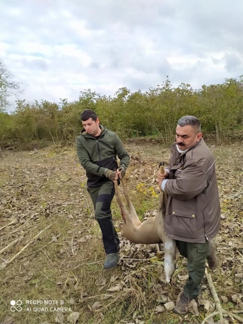 Avcılardan örnek davranış
