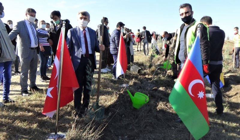 DPÜ’lü uluslararası öğrenciler 500 selvi fidanını toprakla buluşturdu
