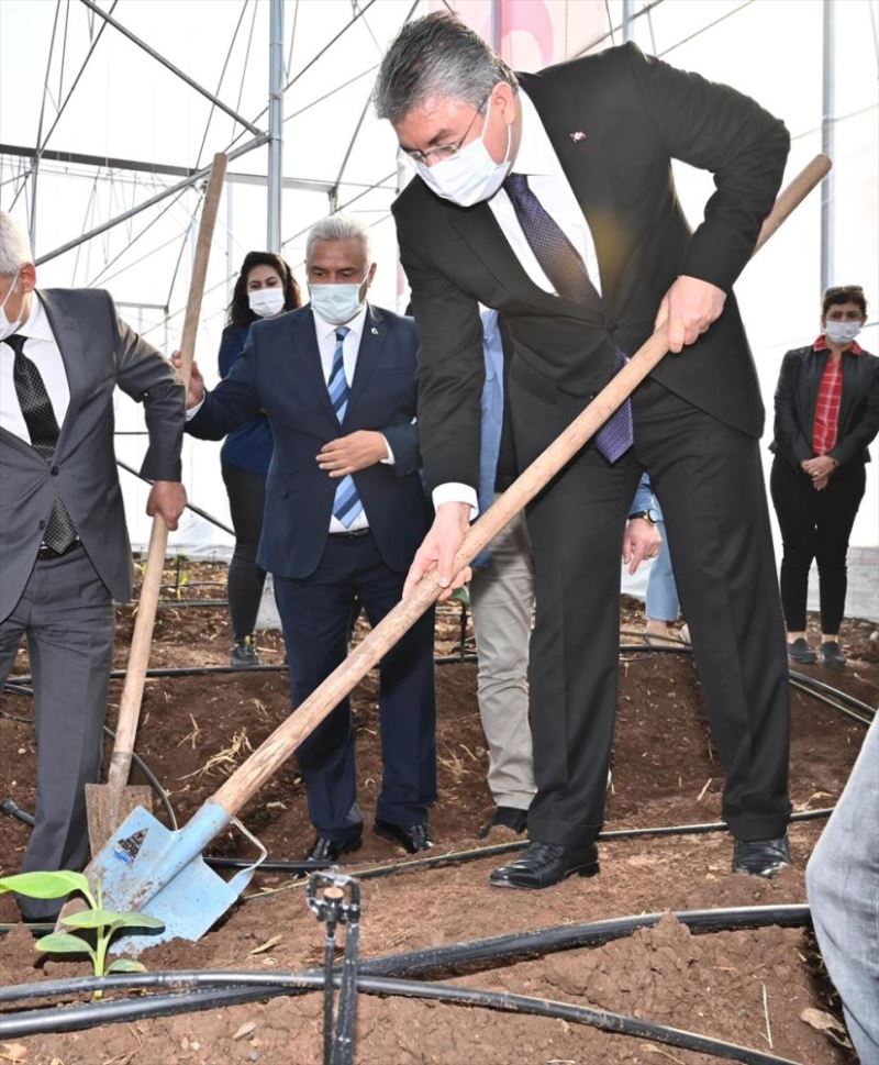 Osmaniye Valisi Erdinç Yılmaz yeni kurulan muz serasını ziyaret etti