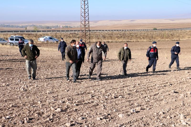 Yozgat’ta ölü bulunup gömüldüğü iddia edilen yakalı toy kuşu ile ilgili araştırma
