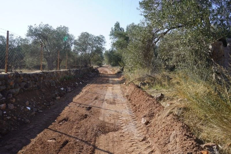 Ayvalık Belediyesi Cunda Adası’nda zeytinlikler arasındaki yollara el attı
