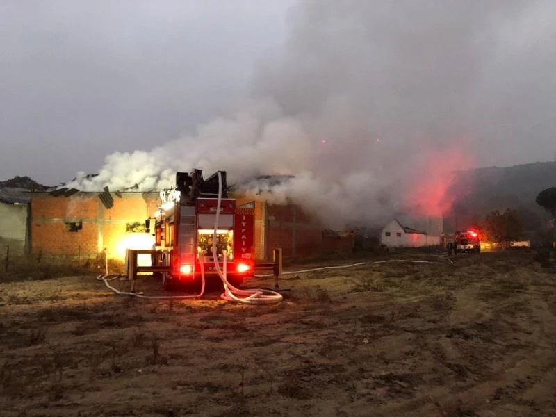 Gökçeyazı’da yangında bin 500 balya saman ile bir buzağı telef oldu
