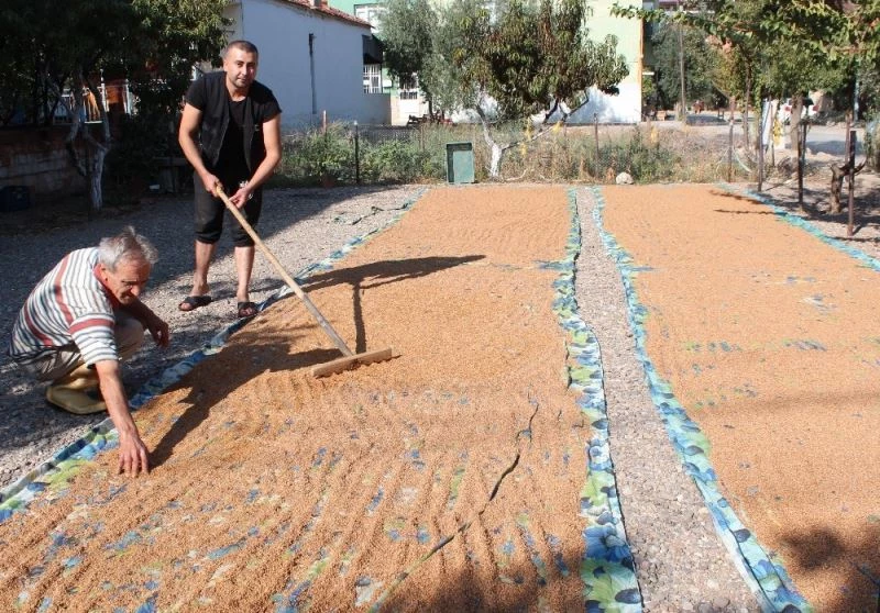 Organik susam ve haşhaş ezmesine talep arttı
