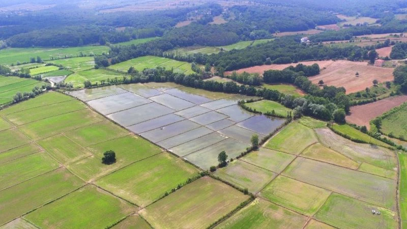 Sinop’ta 30 bin dekar alan sulandı
