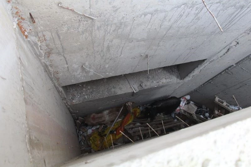 Drenaj kanalına düşen 2 keçiyi itfaiye ekipleri kurtardı
