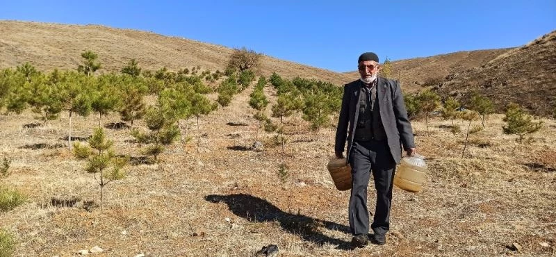 ‘Orman Dede’, babadan kalma arazisini 11 yılda ormana dönüştürdü
