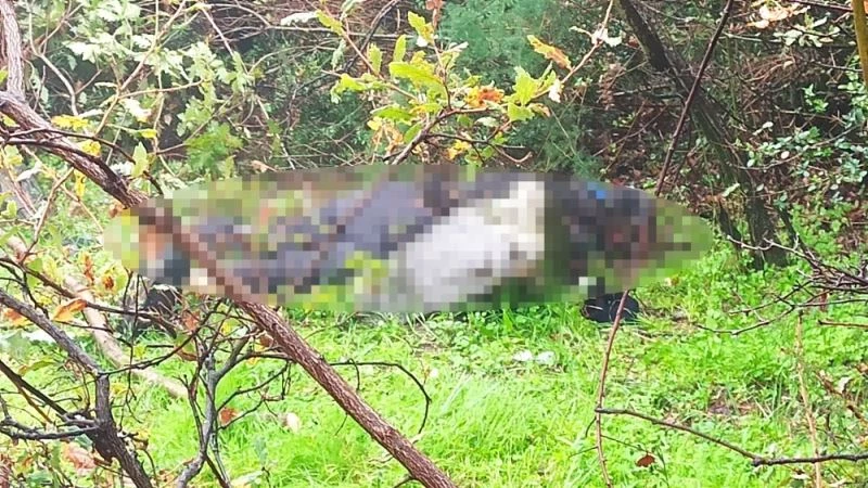 Elinde testere ile ölü bulundu
