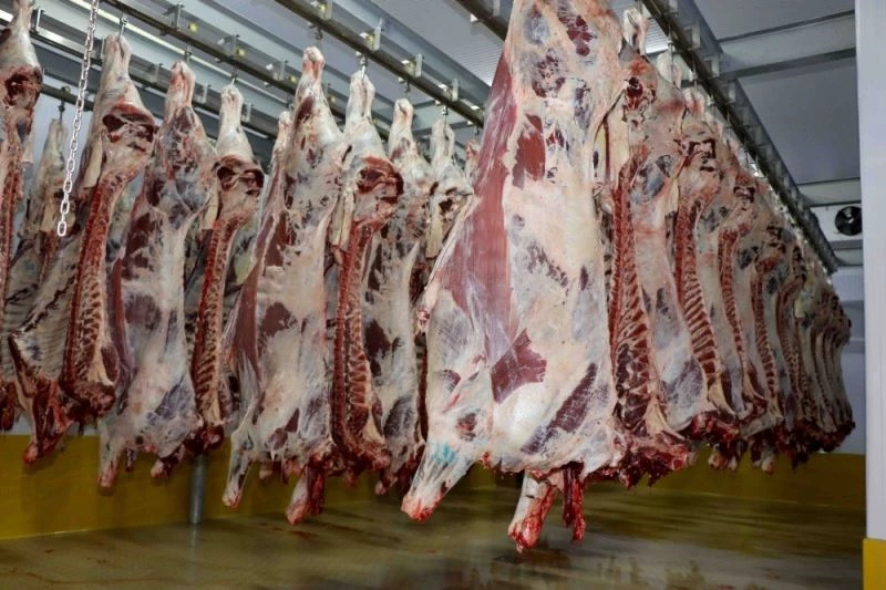 Hijyenik koşullarla mezbahada et kesimlerine devam ediliyor
