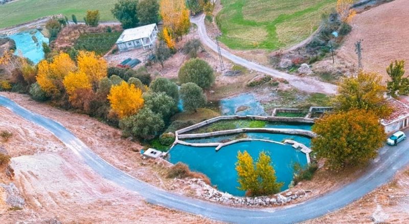 Mazıdağı’nda sonbahar renkleri görenleri hayran bıraktı
