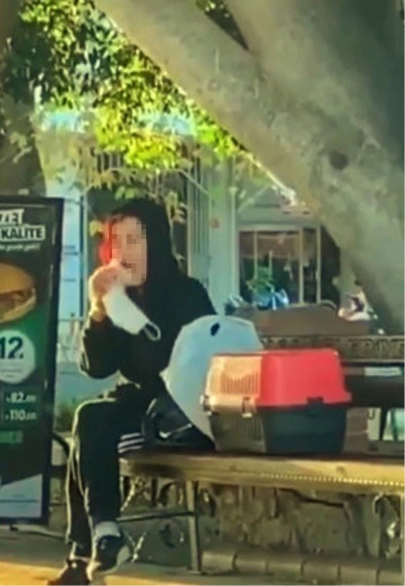 Beslediği hamsterı önce tokatladı, sonra ısırmaya çalıştı
