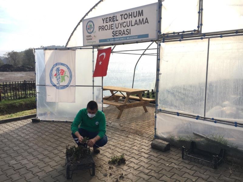 Burdur Üniversitesi Osmanlı Çileği’nin raf ömrünü araştıracak
