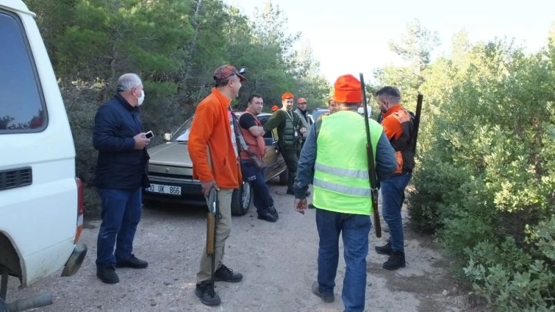 Tatil sitesini basan domuz sürüsü böyle görüntülendi
