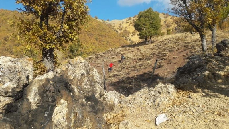 Köylerini ağaçlandırmak için meşe palamudu dikimine başladılar
