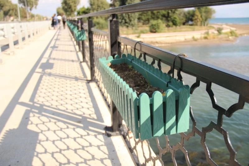 Saksılardaki çiçekleri söktüler
