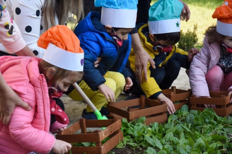 Bahçede ürün yetiştiren minikler hasatlarını da kendileri yaptı
