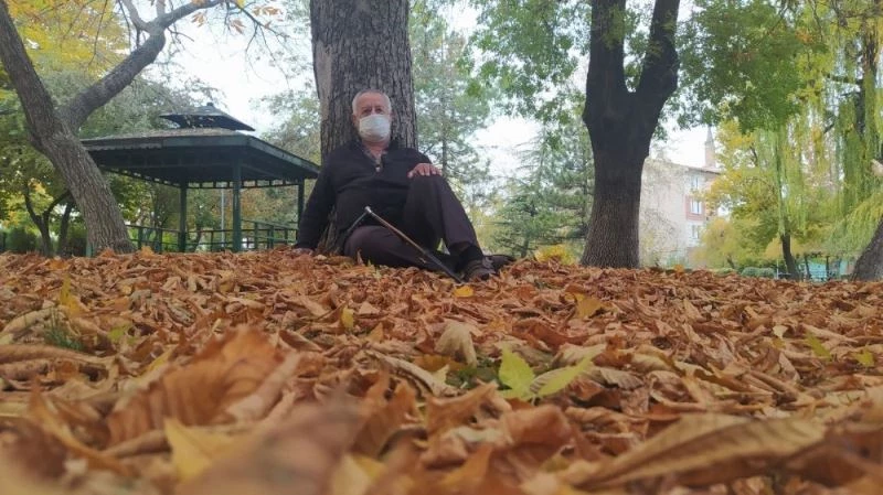 Yere düşün yapraklar güzel görüntüler oluşturdu
