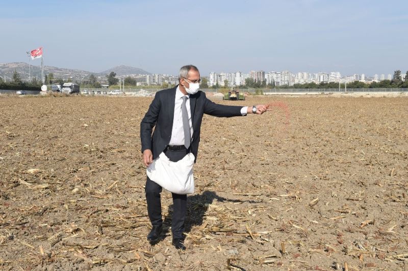 Başkan Bozdoğan, ata tohumu kunduru buğdayını toprakla buluşturdu
