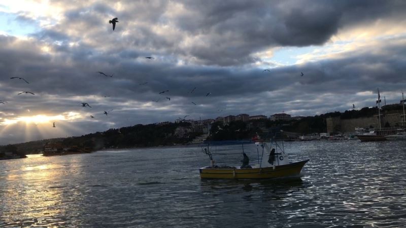 Balıkçı teknelerinin davetsiz misafiri martılar
