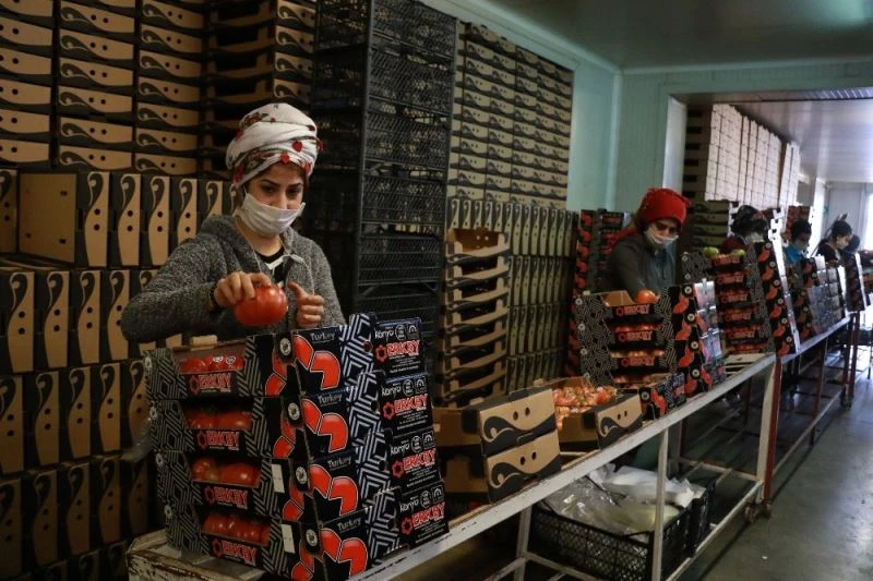 Domateste bir önceki aya göre yüzde 6.88, sebzede yüzde 22.28, meyvede yüzde 6.69 artış yaşandı
