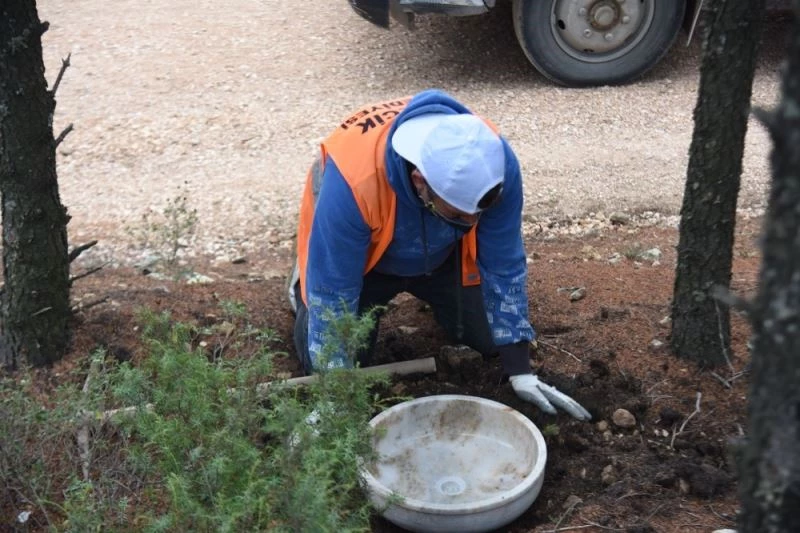Evcil ve yaban hayvanları için su kapları konuldu
