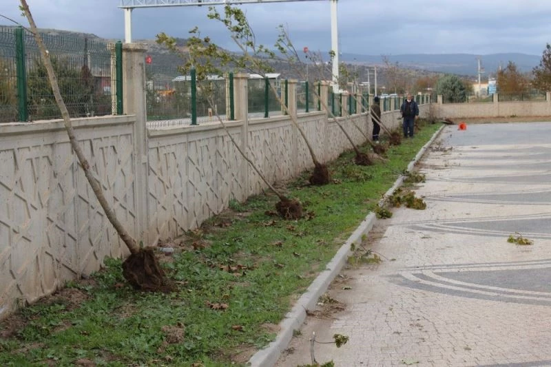 Aromatik bitkiler Karacabey’de yeni gelir kapısına dönüşebilir
