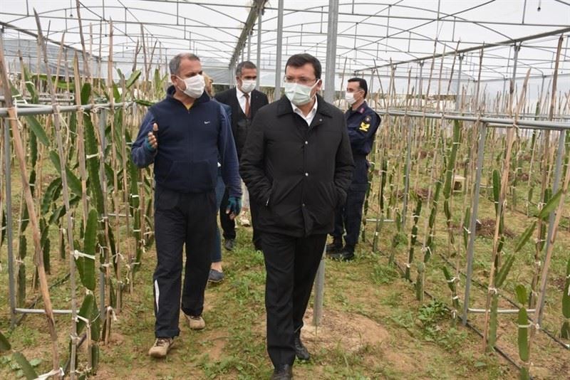 Kaymakam Şahin, ’Efeler Diyarında Pitaya’ Projesi kapsamında üreticilerle bir araya geldi
