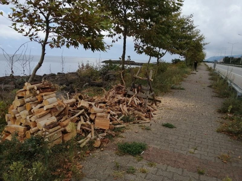 Kışlık odunlarını denizden temin ettiler
