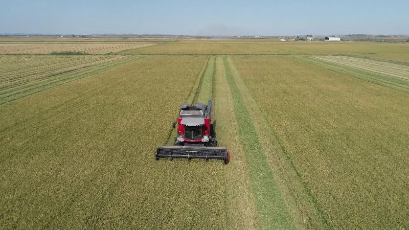 Edirne’de bu yıl 571 bin 591 dekar tarım arazisi sulandı
