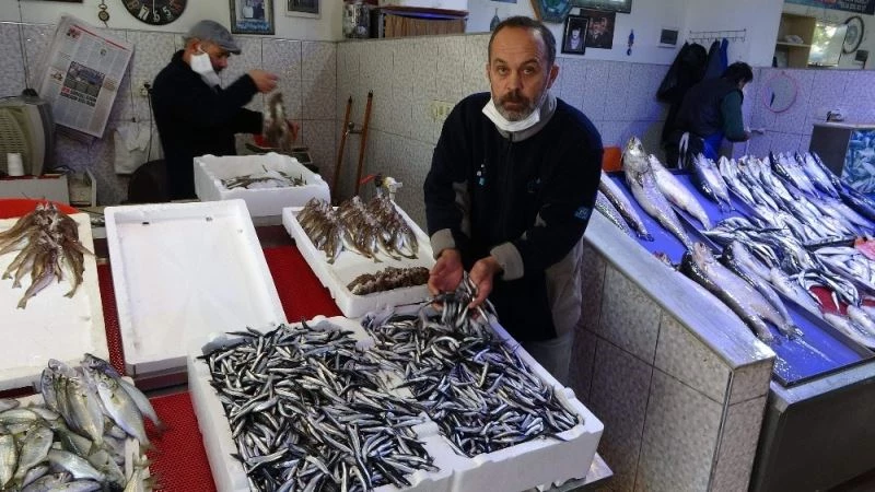 Hava muhalefeti nedeniyle hamsinin fiyatı yükselişe geçti
