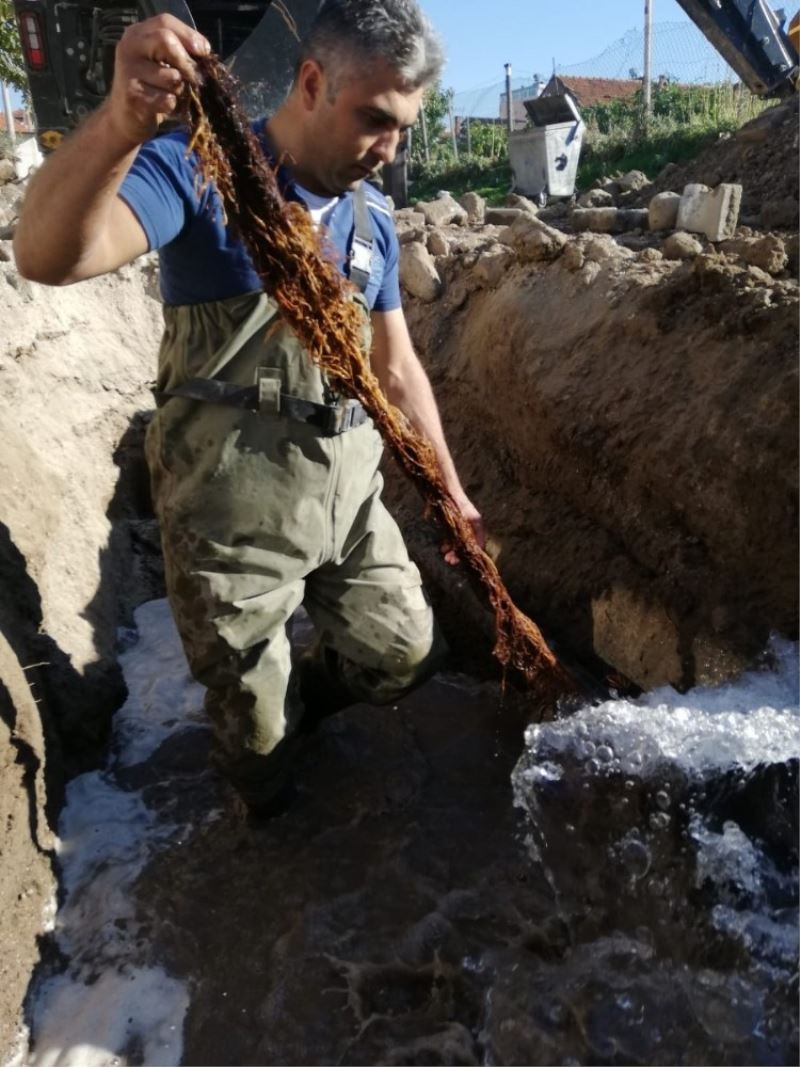 Suların az akmasının sebebi kunduz çıktı
